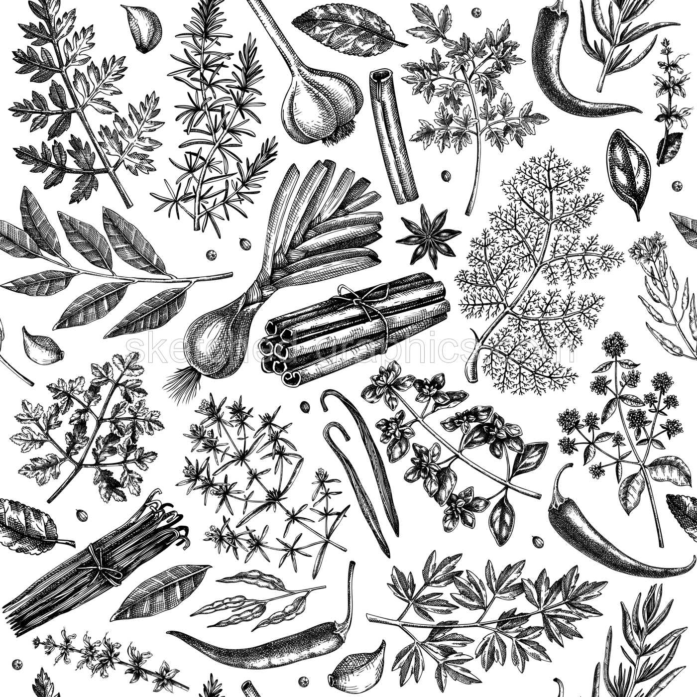 Hand-drawn herbs and spices background. Hand-sketched food backdrop. Vintage aromatic plants seamless pattern in sketched style. Kitchen spice and herbs drawings for packaging, menu, labels Illustration